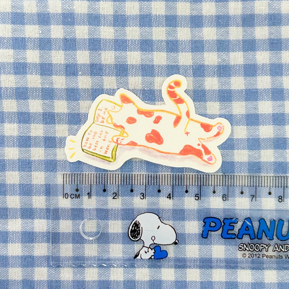 book cat | sticker